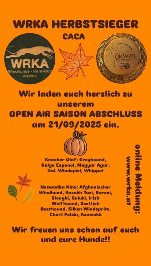 comp CACAherbstsieger